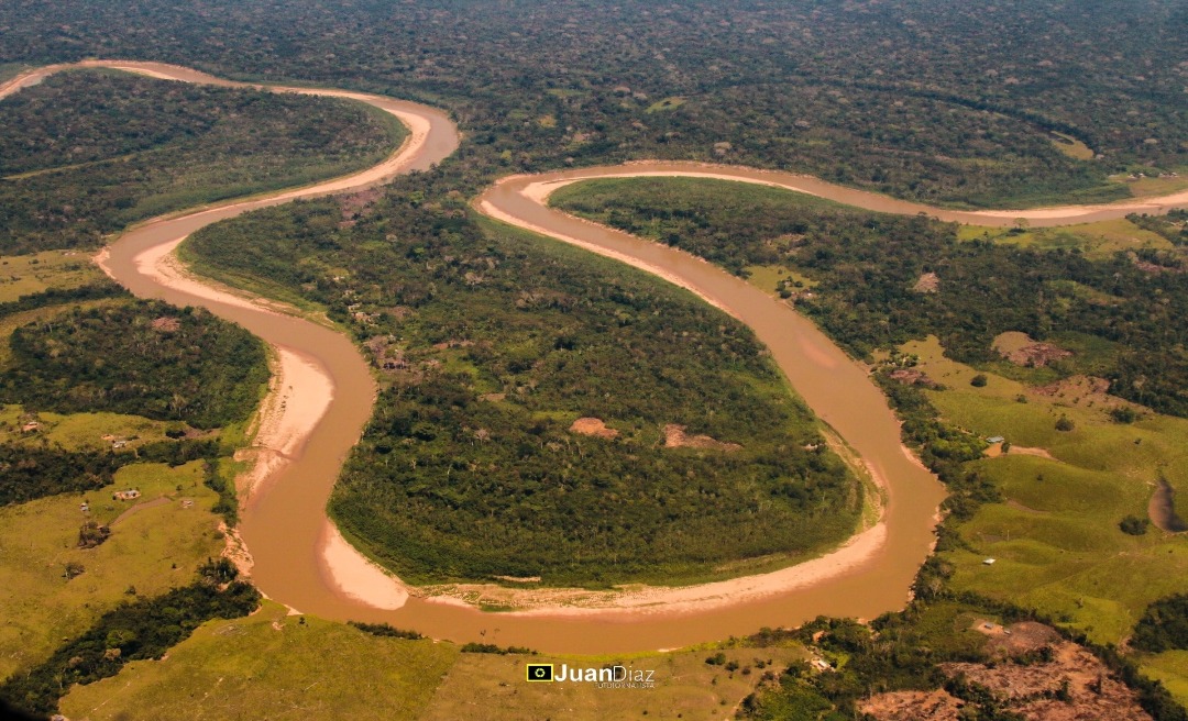 Dia da Amazônia: A Kalume o que é de Kalume; sem florestania 
